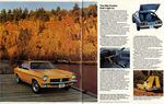 1973 Pontiac Astre-02-03