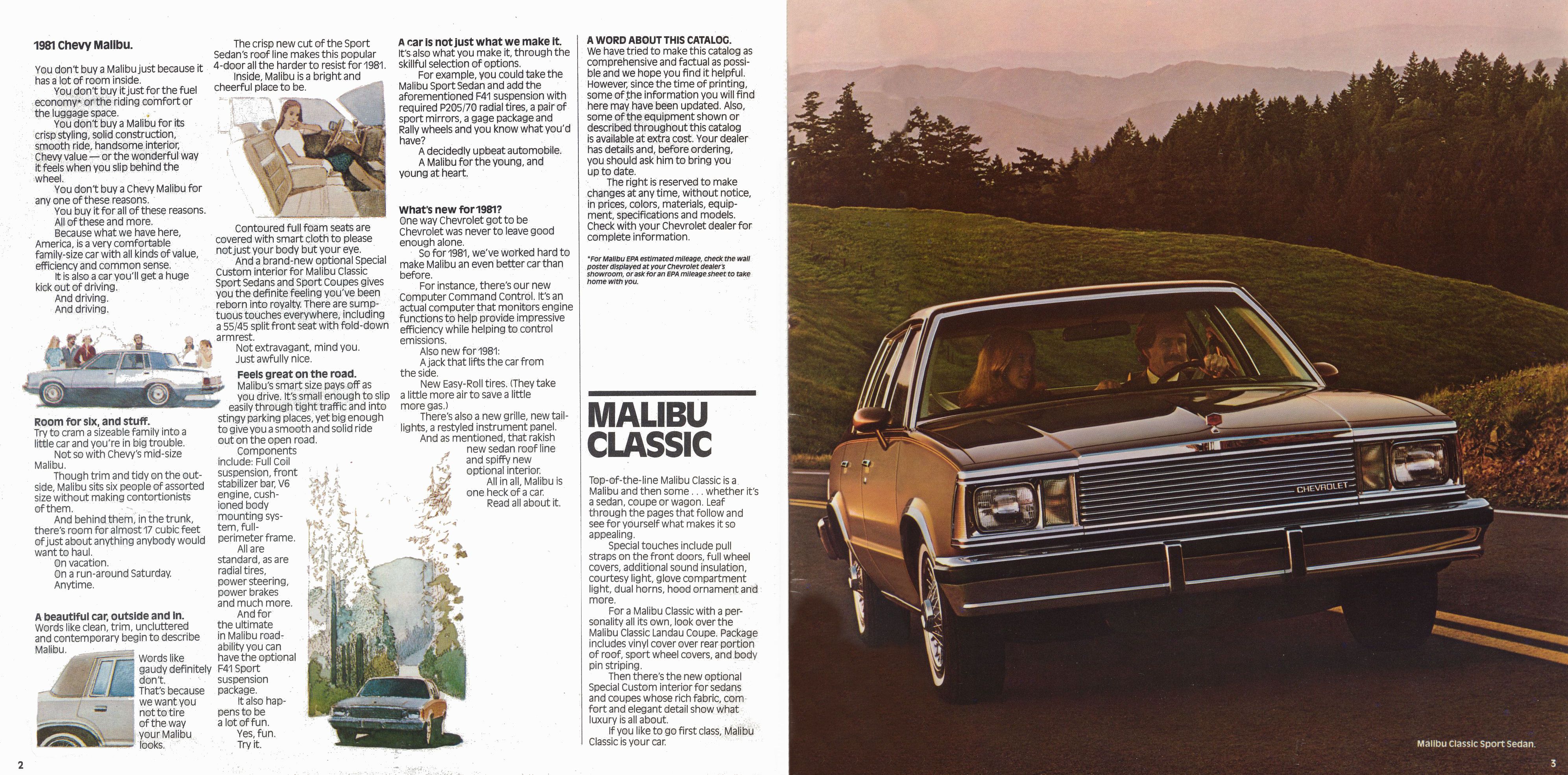 1981 Chevrolet Malibu-02-03