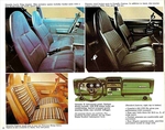 1976 AMC Passenger Cars-10