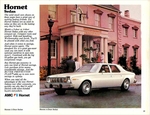 1976 AMC Passenger Cars-19