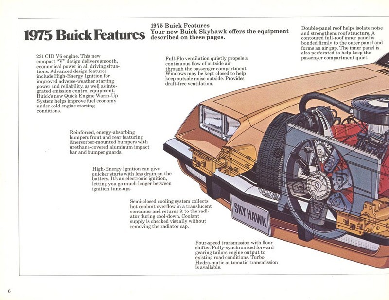 1975 Buick Skyhawk-06