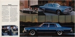 1979 Buick-04-05