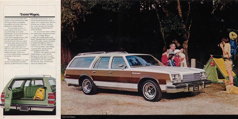 1979 Buick-08-09