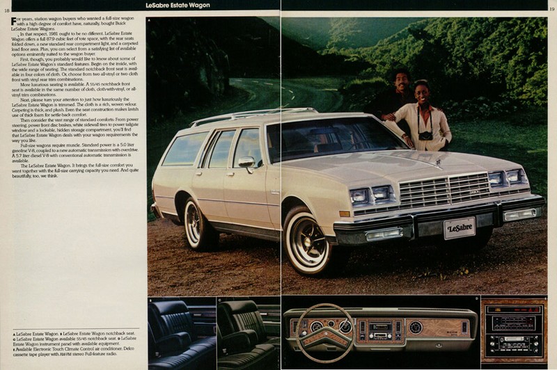 1981 Buick-a10