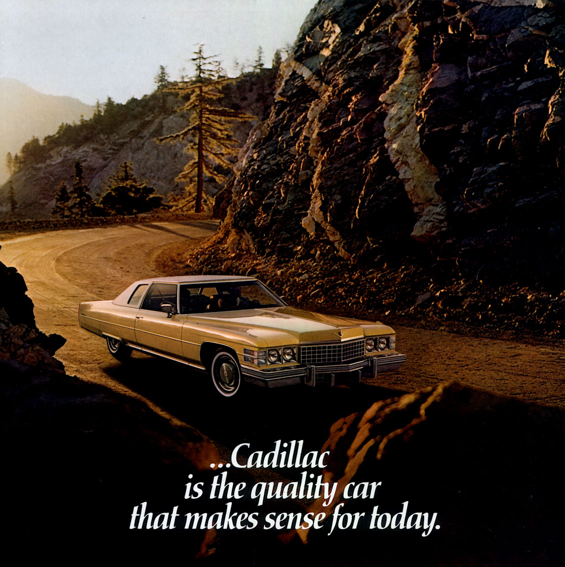 1974 Cadillac-a01
