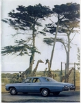 1967 Chevrolet-21
