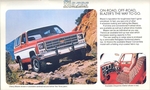 1979 Chevrolets-21