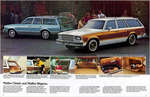 1979 Chevrolet Wagons-05