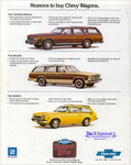 1979 Chevrolet Wagons-13