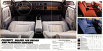 1982 Chevrolet Celebrity-10-11