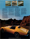 1971 Chevrolet Corvette-11