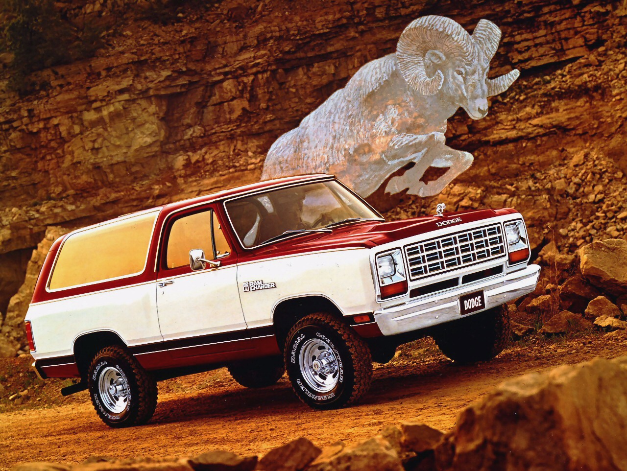 1981 Chrysler Trucks and Vans