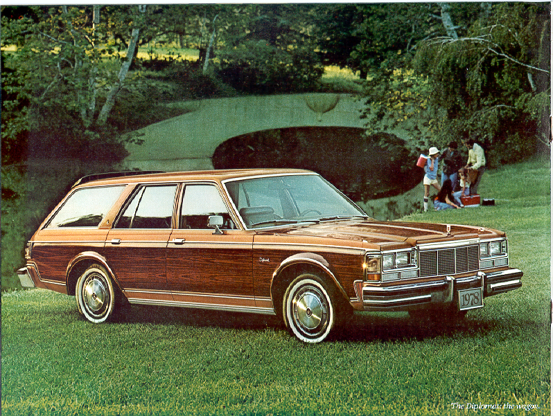 1978 Dodge Diplomat-a08