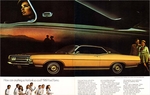 1969 Ford Torino  amp  Fairlane-02-03