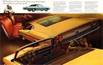 1969 Ford Torino  amp  Fairlane-06-07
