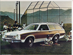 1977 Ford Wagons-03