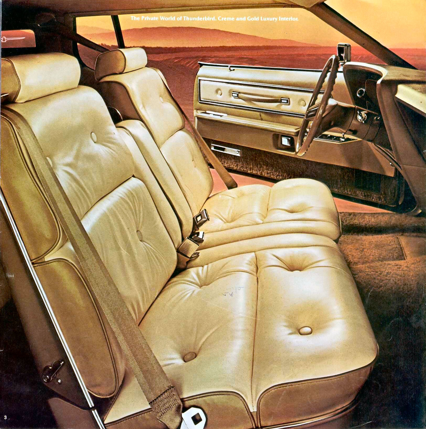 1976 Ford Thunderbird-02