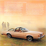 1979 Ford Thunderbird-03