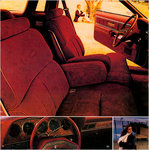1979 Ford Thunderbird-07