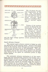 1927 Diana Manual-101