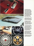 1979 Plymouth Horizon-13