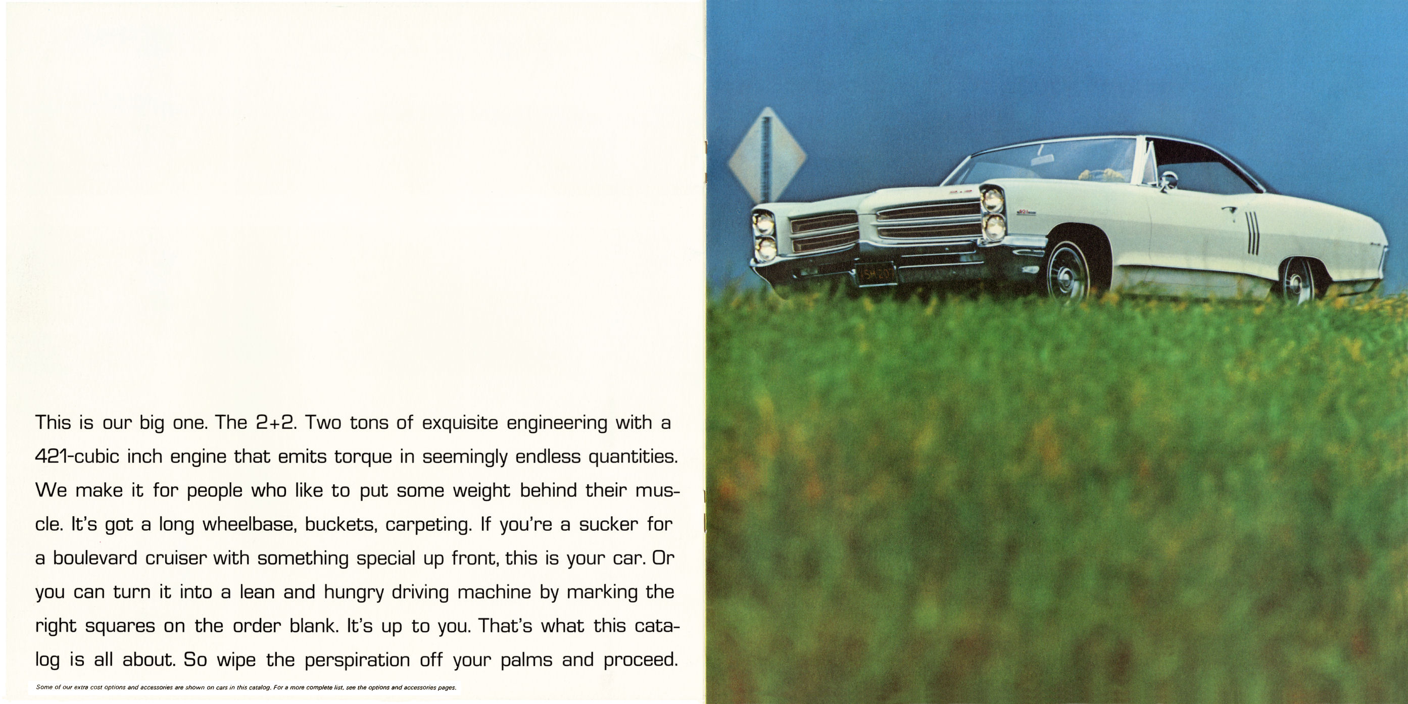 1966 Pontiac Performance-10-11