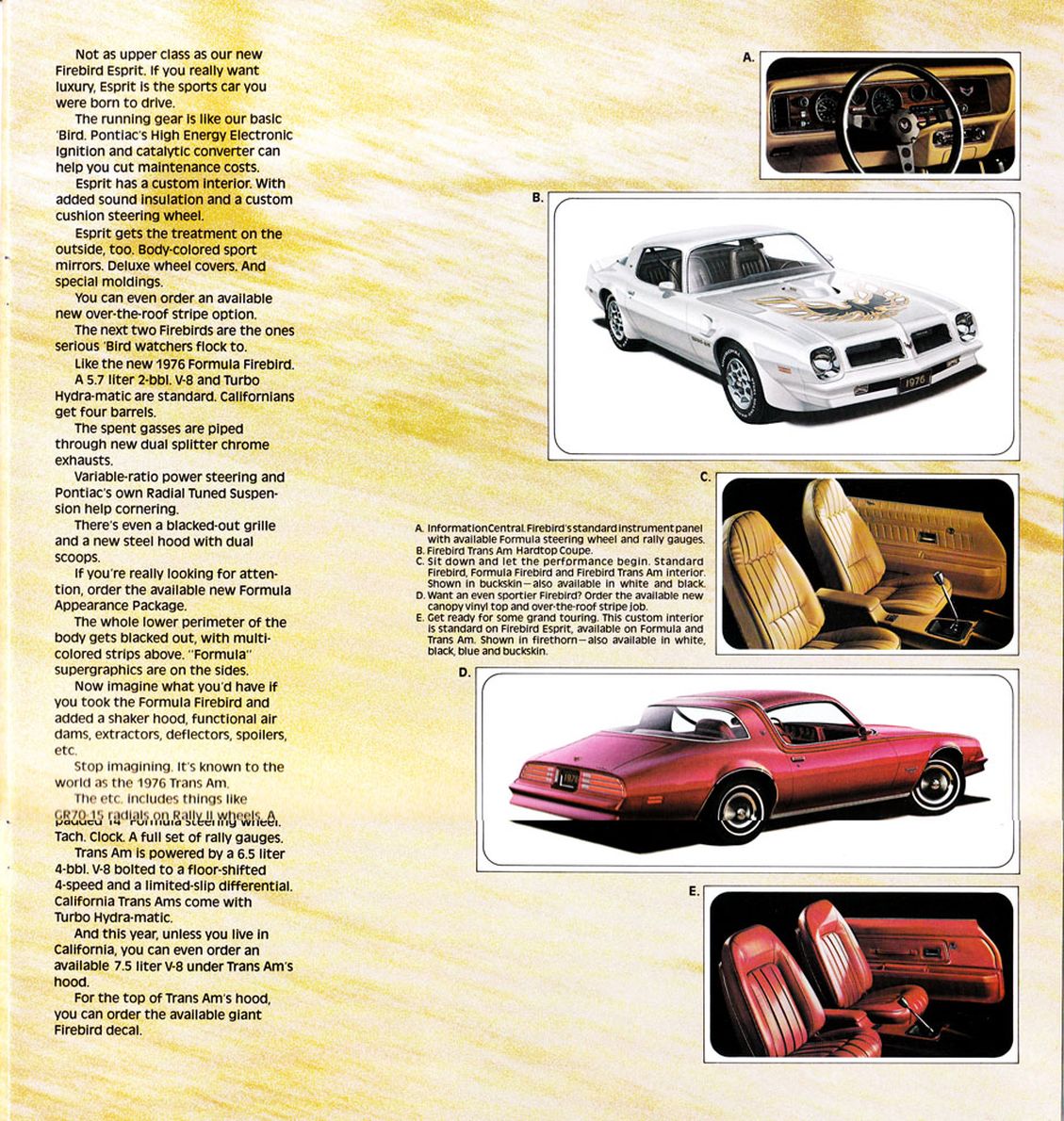 1976 Pontiac Full Line-13