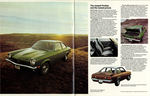 1973 Pontiac Astre-04-05