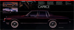 1982 Chevrolet Full Line-16-17