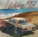 1981 Chevrolet Malibu-01