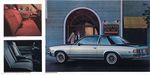 1981 Chevrolet Malibu-08-09