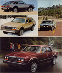 1982 AMC Full Lineup-11