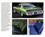 1975 Chrysler-Plymouth-13