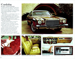 1976 Chrysler-Plymouth-12