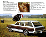 1978 Chrysler-Plymouth-06