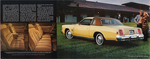 1978 Chrysler Cordoba-04-05