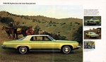 1973 Oldsmobile Full Line-20-21