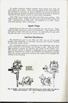 1941 Packard Manual-34