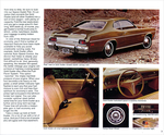 1975 Chrysler-Plymouth-03