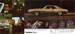 1969 Pontiac Performance-14-15